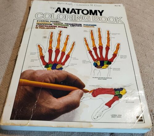Anatomy Coloring Book  by Lawrence M Elson And Wynn Kapit