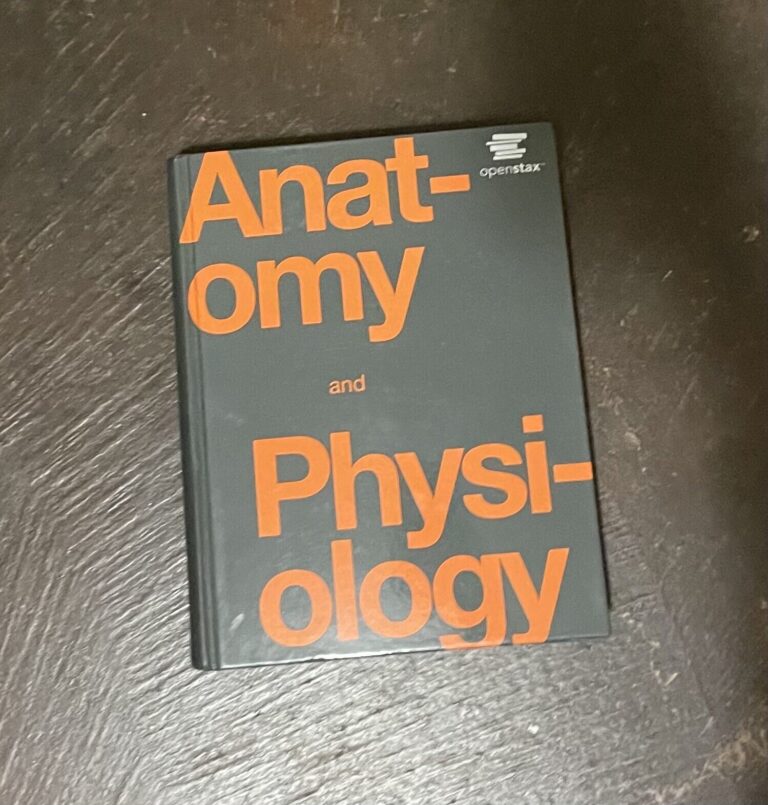Anatomy And Physiology Books  by J. Gordon Betts, Peter Desaix, Oksana Korol