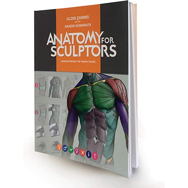 Anatomy for Sculptors  by Sandis Kondrats And Uldis Zarins