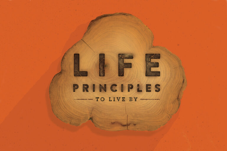 30 Life Principles by Charles Stanley