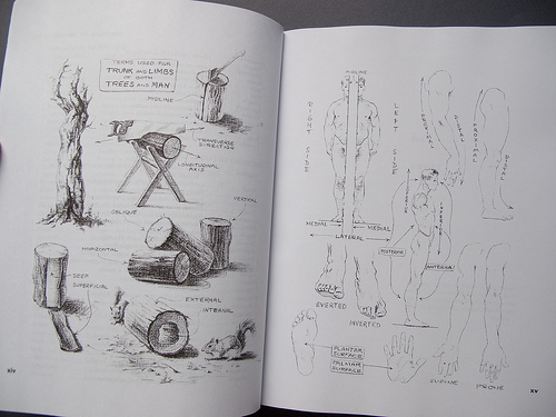 Atlas of Human Anatomy for the Artist  by Stephen Rogers Peck