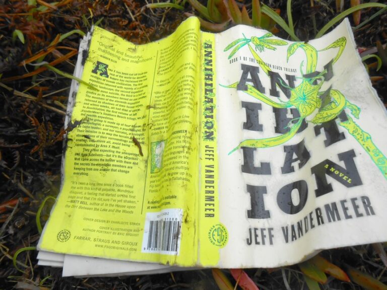 Annihilation  by Jeff Vandermeer