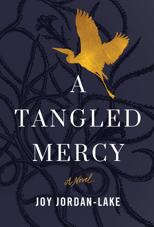 A Tangled Mercy  by Joy Jordan-Lake